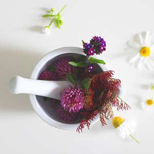 Photo of flowers on a bow. Click on the photo for more information about nurturing recipes. 